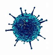 Diez recomendaciones de la OMS para protegerserse del Coronavirus
